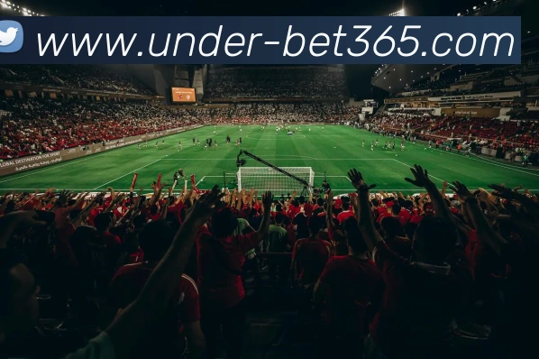 bet365平台生态图